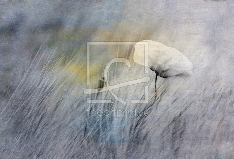 frei w&auml;hlbarer Bildausschnitt f&uuml;r Ihr Bild auf Tasse