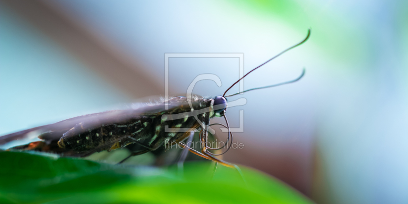 frei w&auml;hlbarer Bildausschnitt f&uuml;r Ihr Bild auf Tasse