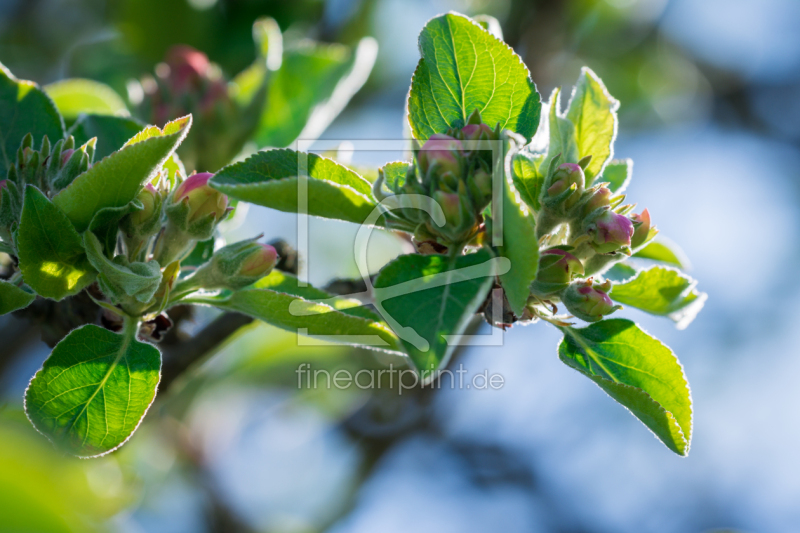 frei w&auml;hlbarer Bildausschnitt f&uuml;r Ihr Bild auf Tasse