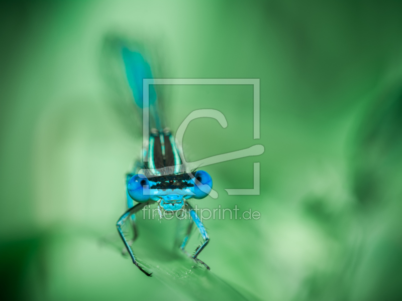 frei w&auml;hlbarer Bildausschnitt f&uuml;r Ihr Bild auf Tasse