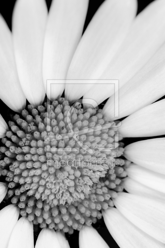 frei w&auml;hlbarer Bildausschnitt f&uuml;r Ihr Bild auf Tasse