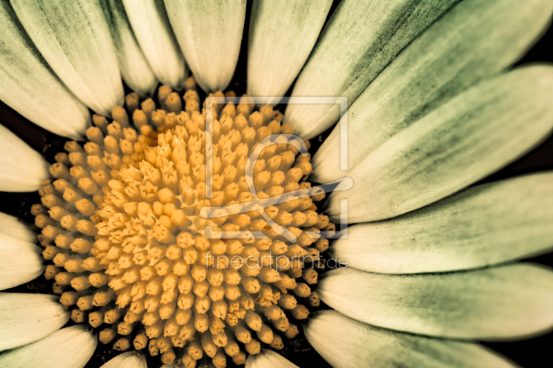 frei w&auml;hlbarer Bildausschnitt f&uuml;r Ihr Bild auf Tasse