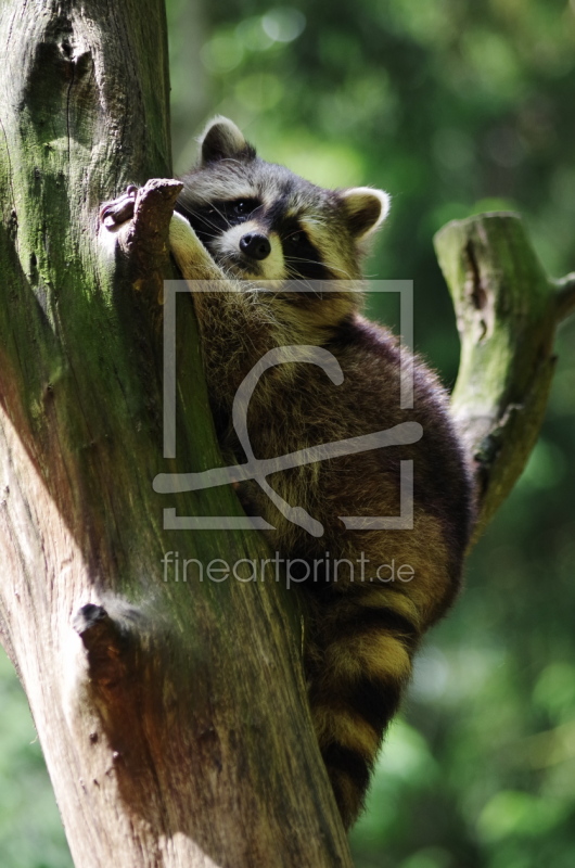 frei w&auml;hlbarer Bildausschnitt f&uuml;r Ihr Bild auf Tasse