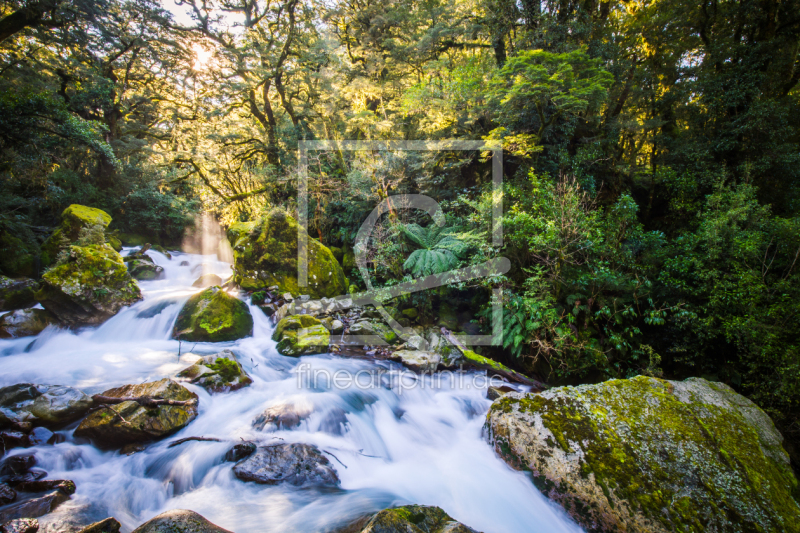 frei w&auml;hlbarer Bildausschnitt f&uuml;r Ihr Bild auf Tasse