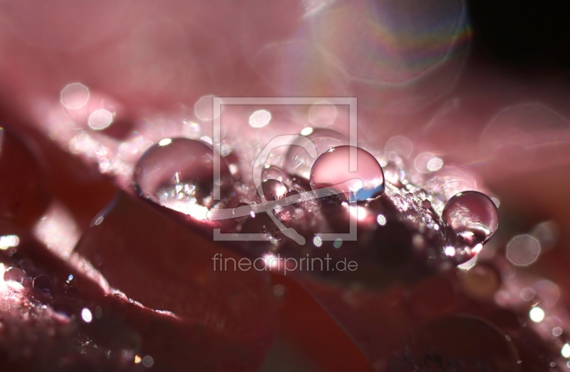 frei w&auml;hlbarer Bildausschnitt f&uuml;r Ihr Bild auf Tasse