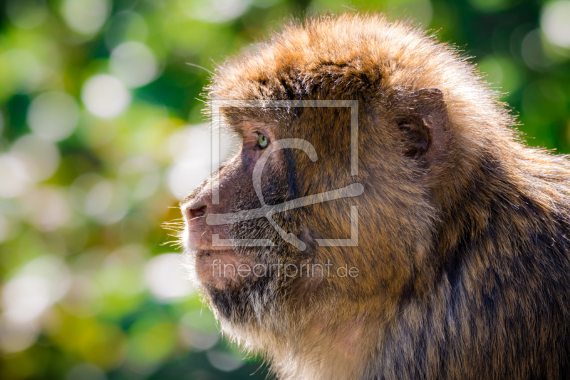 frei w&auml;hlbarer Bildausschnitt f&uuml;r Ihr Bild auf Tasse