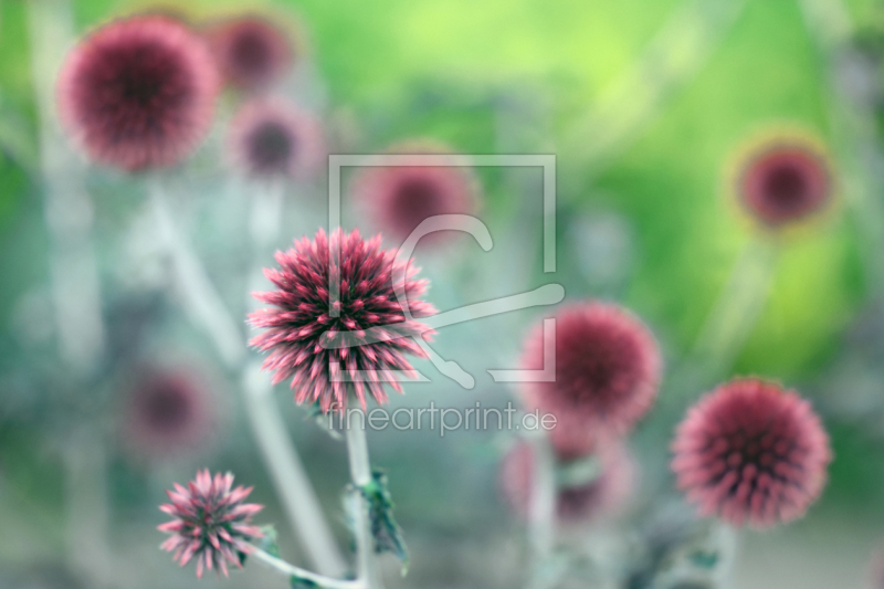 frei w&auml;hlbarer Bildausschnitt f&uuml;r Ihr Bild auf Tasse