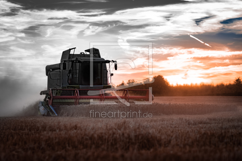 frei w&auml;hlbarer Bildausschnitt f&uuml;r Ihr Bild auf Tasse