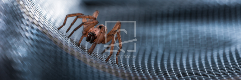 frei w&auml;hlbarer Bildausschnitt f&uuml;r Ihr Bild auf Tasse