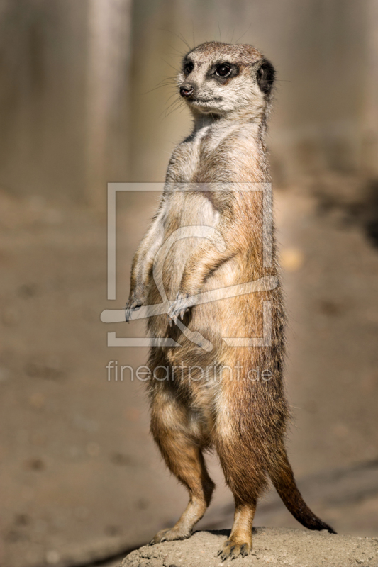 frei w&auml;hlbarer Bildausschnitt f&uuml;r Ihr Bild auf Tasse