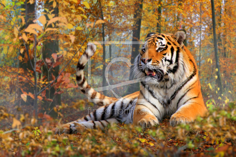 frei w&auml;hlbarer Bildausschnitt f&uuml;r Ihr Bild auf Tasse