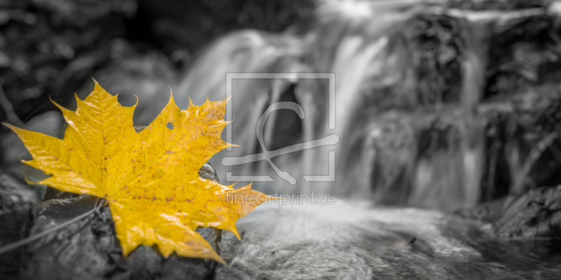 frei w&auml;hlbarer Bildausschnitt f&uuml;r Ihr Bild auf Tasse