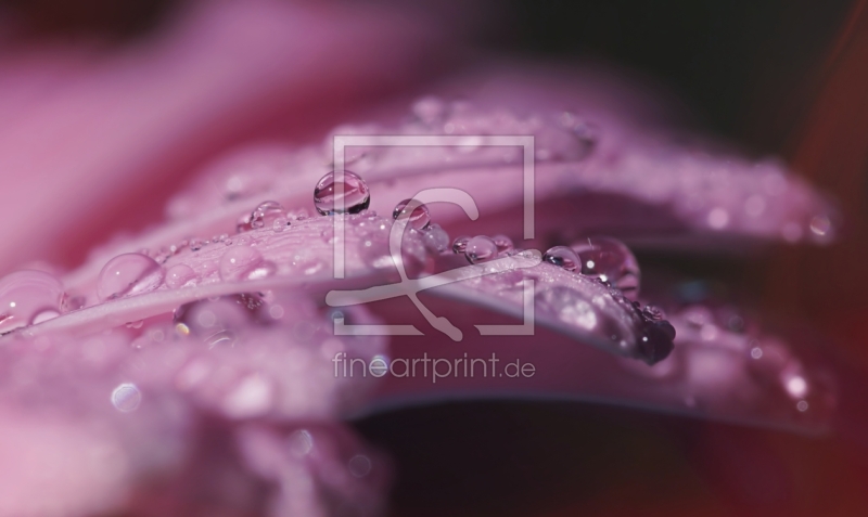 frei w&auml;hlbarer Bildausschnitt f&uuml;r Ihr Bild auf Tasse