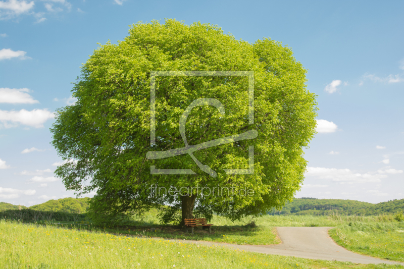 frei w&auml;hlbarer Bildausschnitt f&uuml;r Ihr Bild auf Tasse