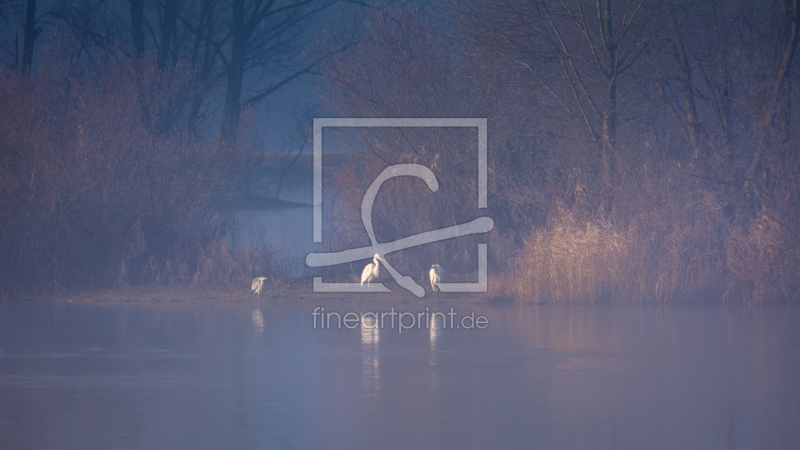 frei w&auml;hlbarer Bildausschnitt f&uuml;r Ihr Bild auf Tasse