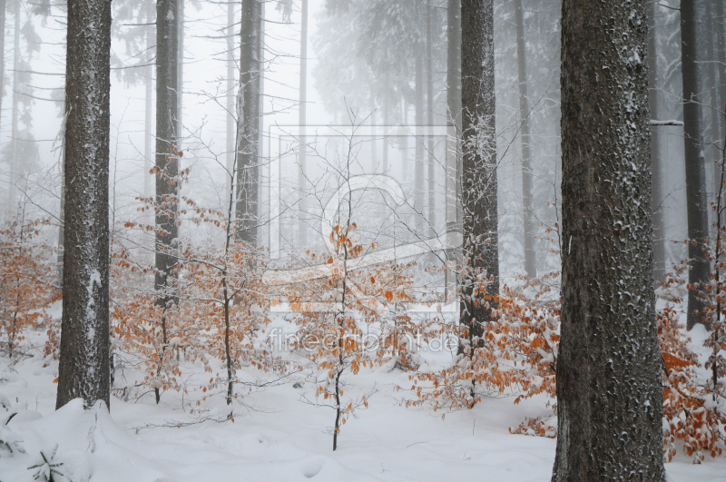 frei w&auml;hlbarer Bildausschnitt f&uuml;r Ihr Bild auf Tasse