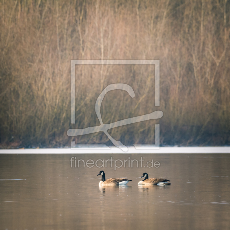 frei w&auml;hlbarer Bildausschnitt f&uuml;r Ihr Bild auf Tasse