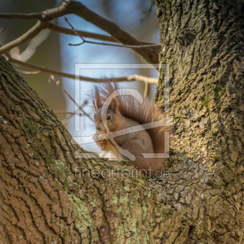 frei w&auml;hlbarer Bildausschnitt f&uuml;r Ihr Bild auf Tasse