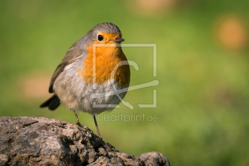 frei w&auml;hlbarer Bildausschnitt f&uuml;r Ihr Bild auf Tasse