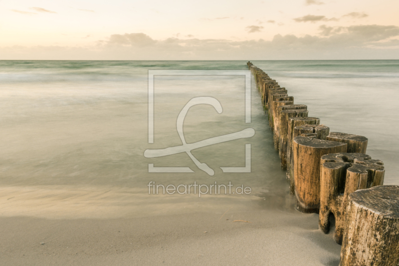 frei w&auml;hlbarer Bildausschnitt f&uuml;r Ihr Bild auf Tasse