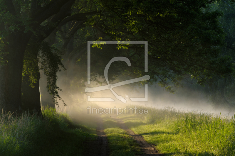 frei w&auml;hlbarer Bildausschnitt f&uuml;r Ihr Bild auf Tasse