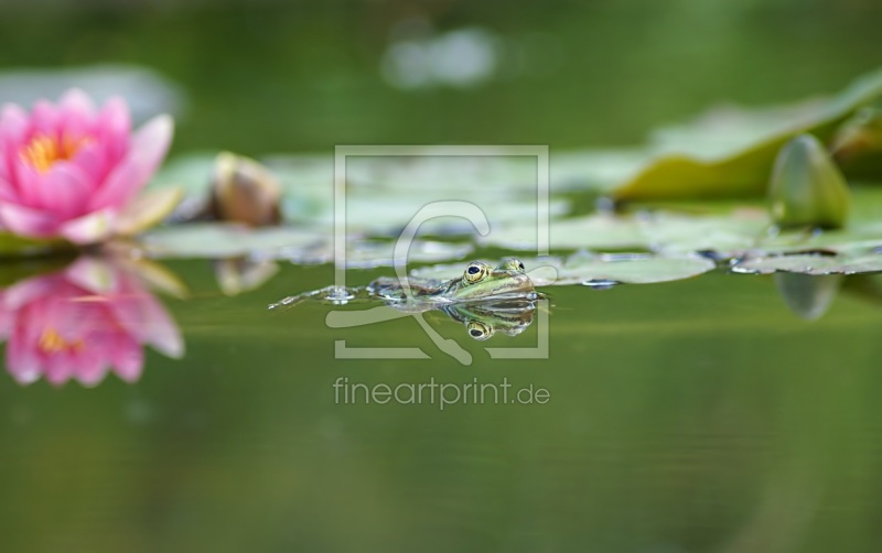 frei wählbarer Bildausschnitt für Ihr Bild auf Tasse