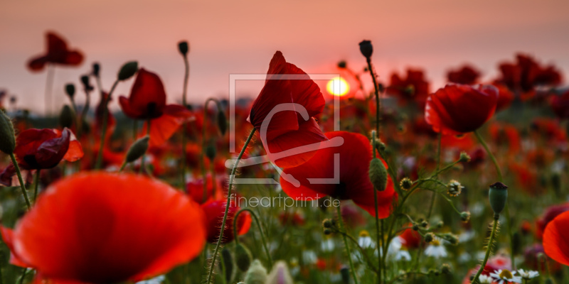 frei w&auml;hlbarer Bildausschnitt f&uuml;r Ihr Bild auf Tasse