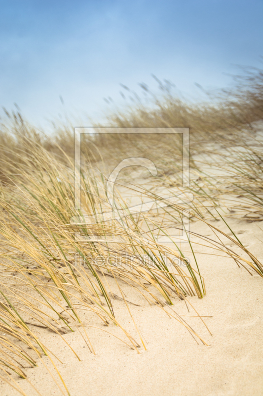 frei w&auml;hlbarer Bildausschnitt f&uuml;r Ihr Bild auf Tasse