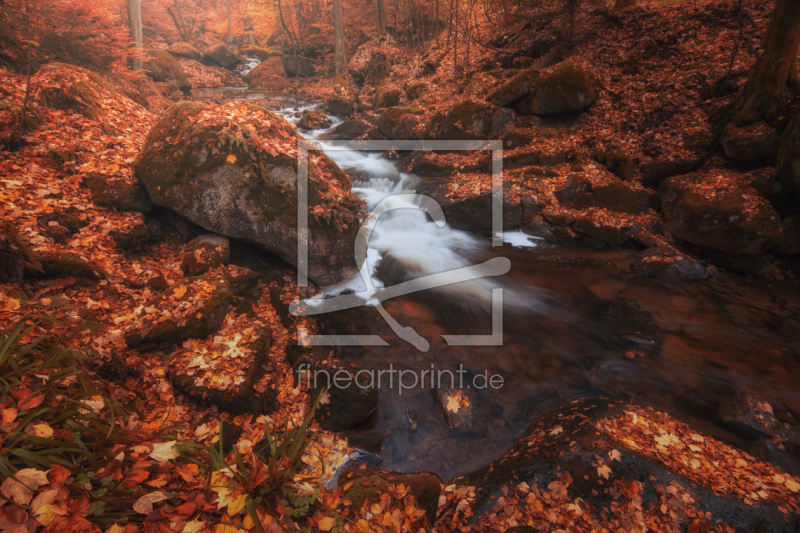 frei w&auml;hlbarer Bildausschnitt f&uuml;r Ihr Bild auf Tasse