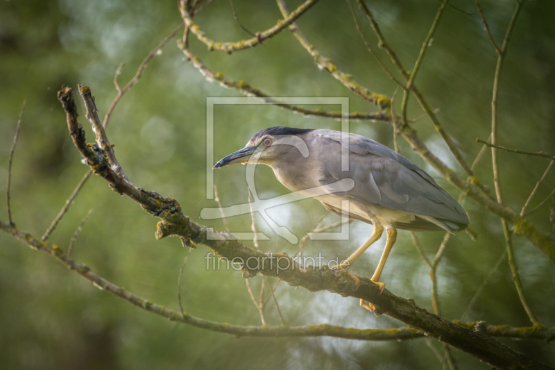 frei w&auml;hlbarer Bildausschnitt f&uuml;r Ihr Bild auf Tasse