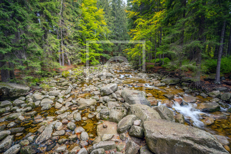 frei w&auml;hlbarer Bildausschnitt f&uuml;r Ihr Bild auf Tasse