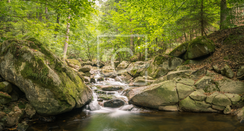 frei w&auml;hlbarer Bildausschnitt f&uuml;r Ihr Bild auf Tasse