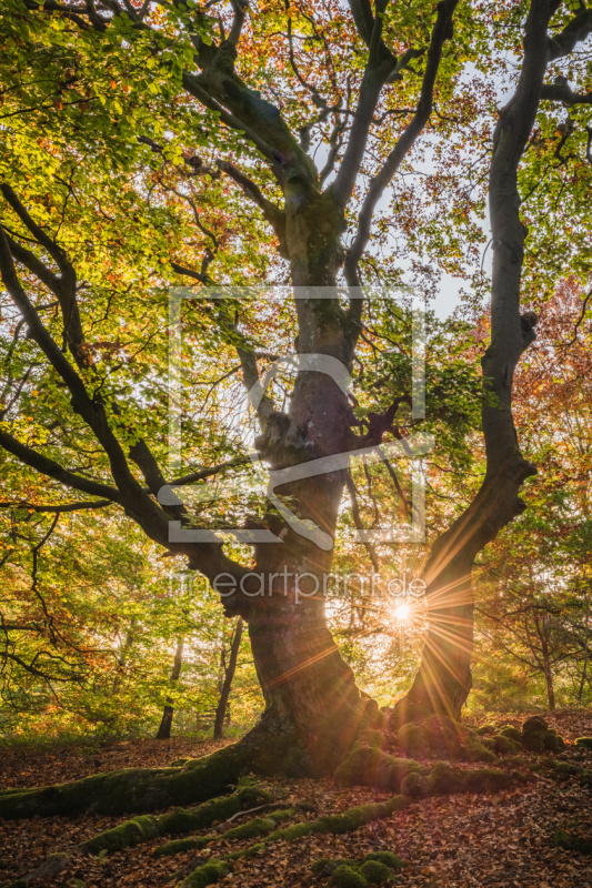 frei w&auml;hlbarer Bildausschnitt f&uuml;r Ihr Bild auf Tasse