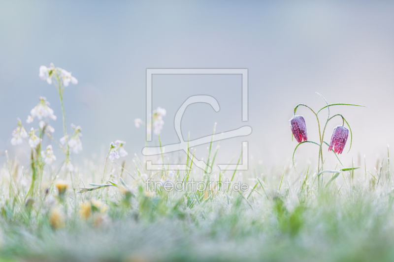 frei w&auml;hlbarer Bildausschnitt f&uuml;r Ihr Bild auf Tasse