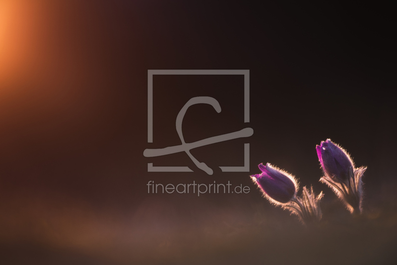 frei w&auml;hlbarer Bildausschnitt f&uuml;r Ihr Bild auf Tasse