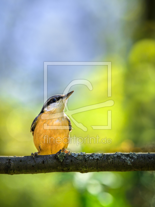 frei w&auml;hlbarer Bildausschnitt f&uuml;r Ihr Bild auf Tasse