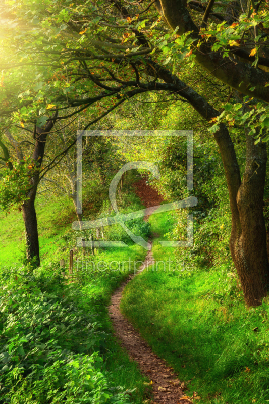 frei w&auml;hlbarer Bildausschnitt f&uuml;r Ihr Bild auf Tasse