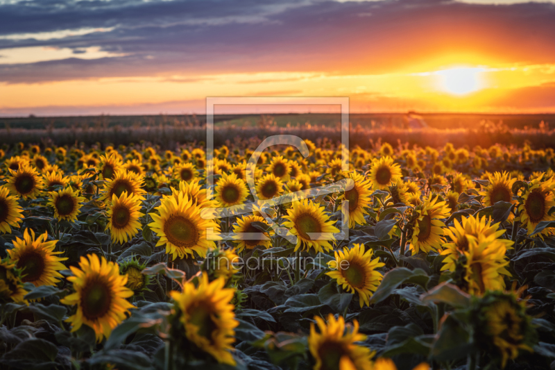 frei w&auml;hlbarer Bildausschnitt f&uuml;r Ihr Bild auf Tasse