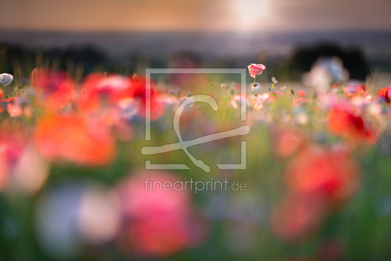 frei w&auml;hlbarer Bildausschnitt f&uuml;r Ihr Bild auf Tasse