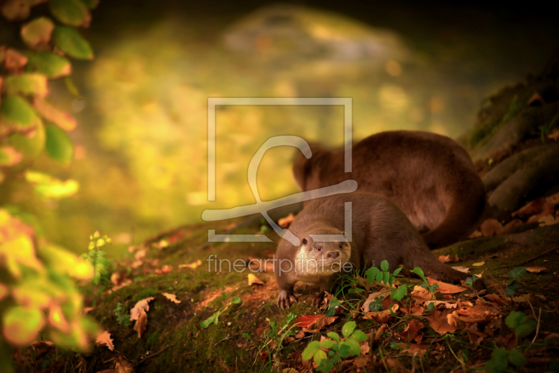 frei w&auml;hlbarer Bildausschnitt f&uuml;r Ihr Bild auf Tasse