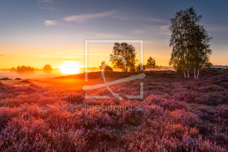 frei w&auml;hlbarer Bildausschnitt f&uuml;r Ihr Bild auf Tasse