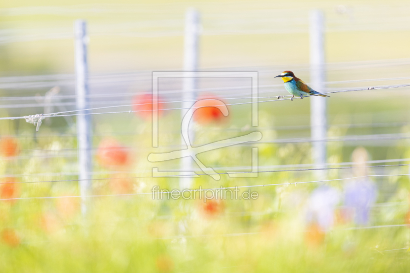 frei w&auml;hlbarer Bildausschnitt f&uuml;r Ihr Bild auf Tasse