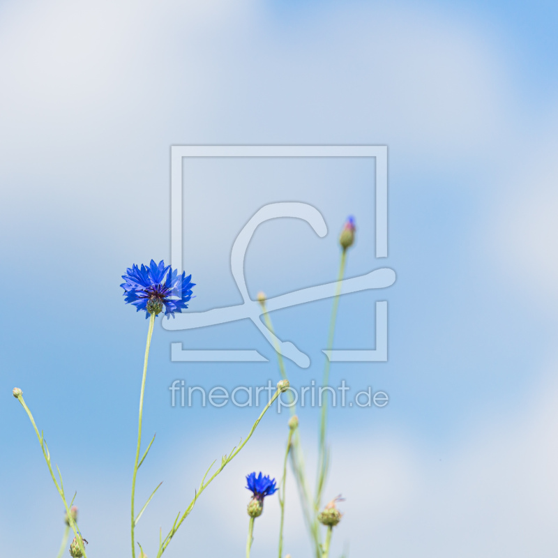 frei w&auml;hlbarer Bildausschnitt f&uuml;r Ihr Bild auf Tasse