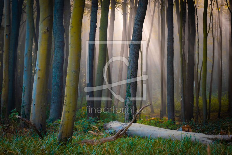 frei w&auml;hlbarer Bildausschnitt f&uuml;r Ihr Bild auf Tasse