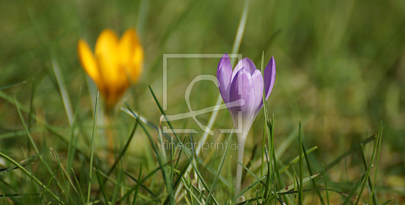 frei w&auml;hlbarer Bildausschnitt f&uuml;r Ihr Bild auf Tasse