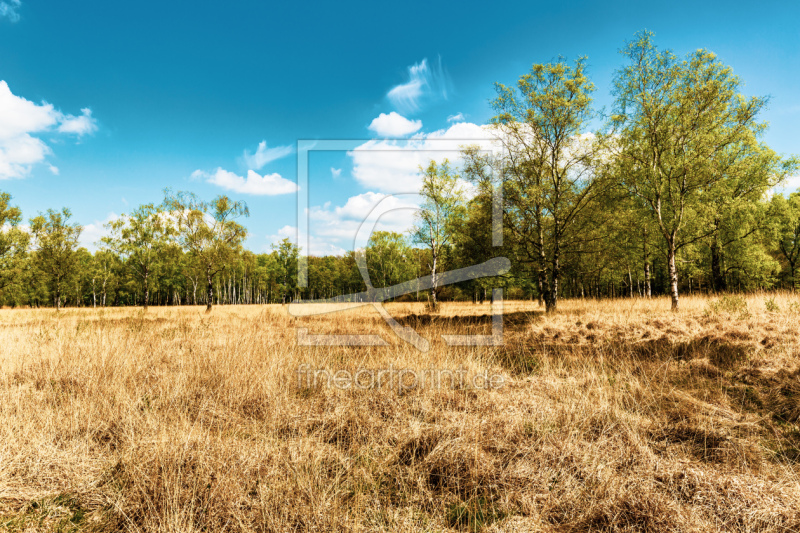 frei w&auml;hlbarer Bildausschnitt f&uuml;r Ihr Bild auf Tasse