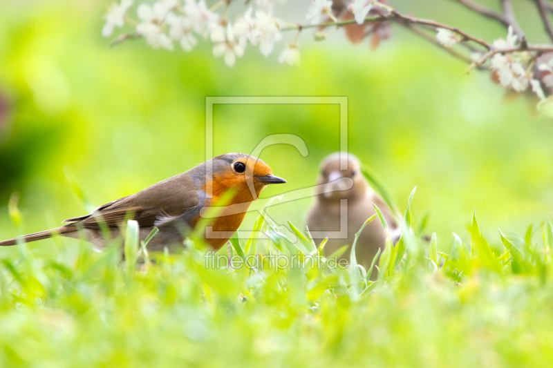 frei w&auml;hlbarer Bildausschnitt f&uuml;r Ihr Bild auf Tasse