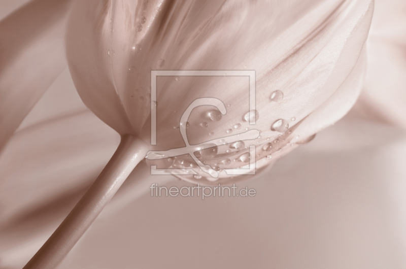 frei w&auml;hlbarer Bildausschnitt f&uuml;r Ihr Bild auf Tasse