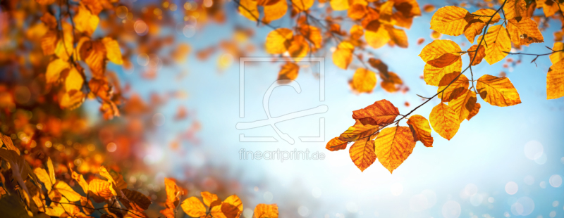 frei w&auml;hlbarer Bildausschnitt f&uuml;r Ihr Bild auf Tasse