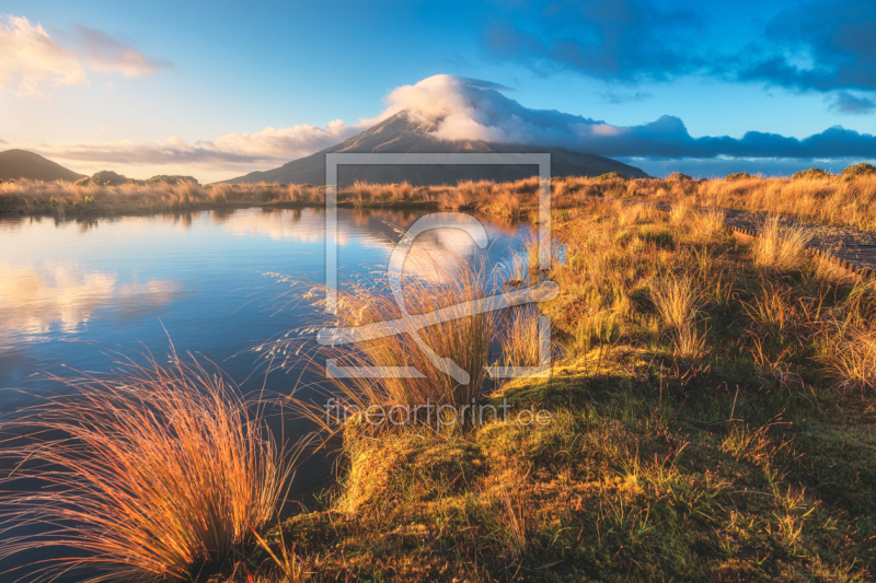 frei w&auml;hlbarer Bildausschnitt f&uuml;r Ihr Bild auf Tasse